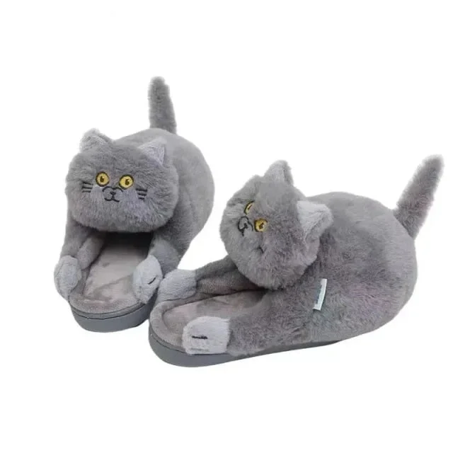 Begging Cat Slippers